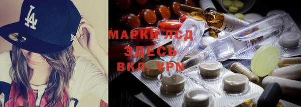 ГАЛЛЮЦИНОГЕННЫЕ ГРИБЫ Дмитров